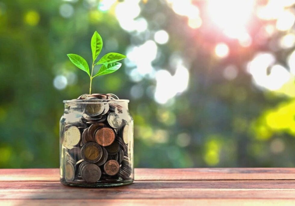 A jar with coins and a plant growing out of it.